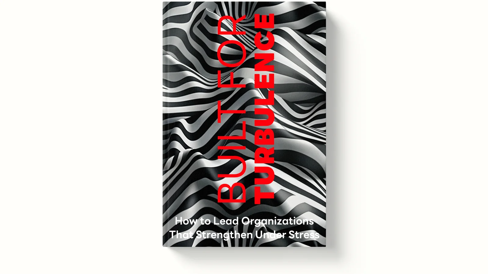 Built for Turbulence Book Cover